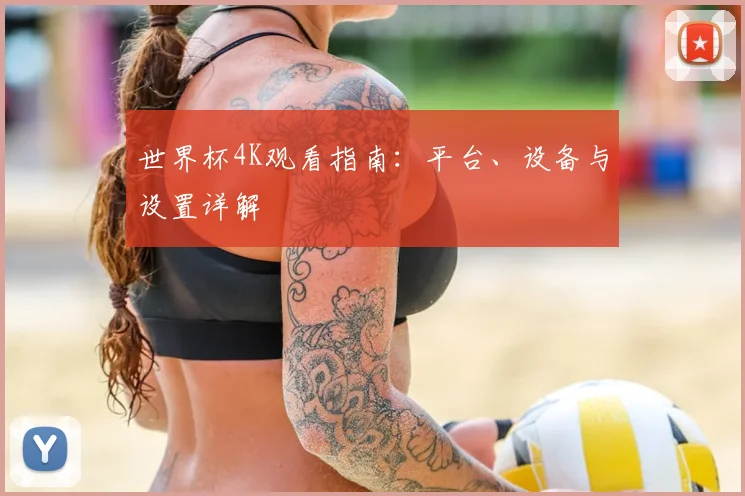 世界杯4K观看指南：平台、设备与设置详解
