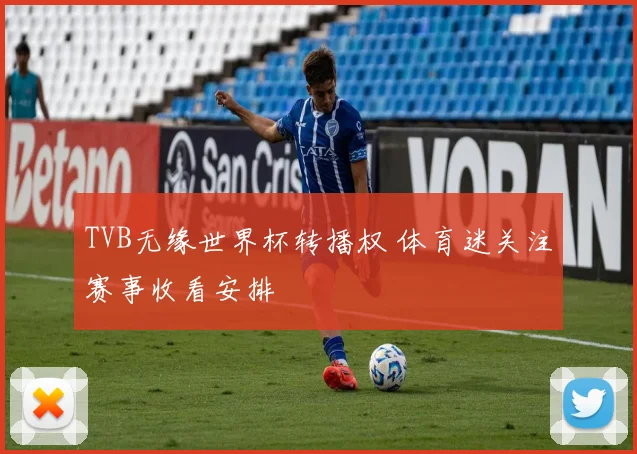 TVB无缘世界杯转播权 体育迷关注赛事收看安排