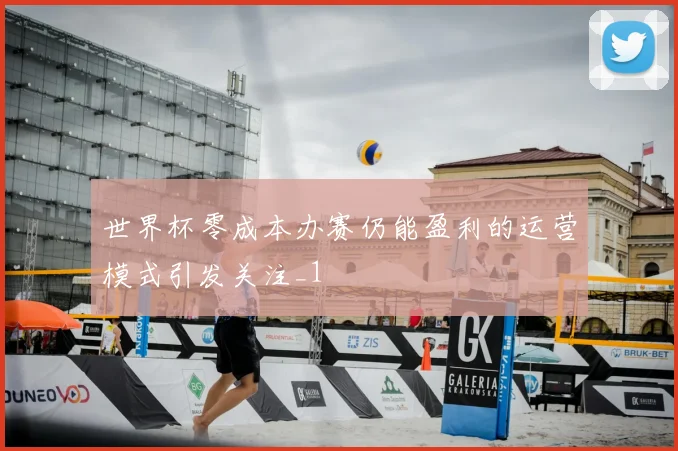 世界杯零成本办赛仍能盈利的运营模式引发关注_1
