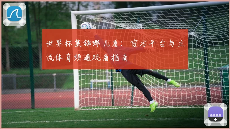 世界杯集锦哪儿看：官方平台与主流体育频道观看指南