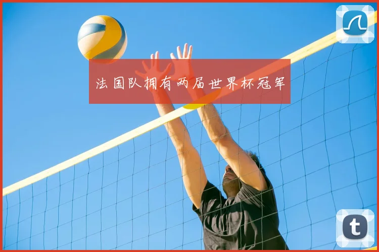 法国队拥有两届世界杯冠军
