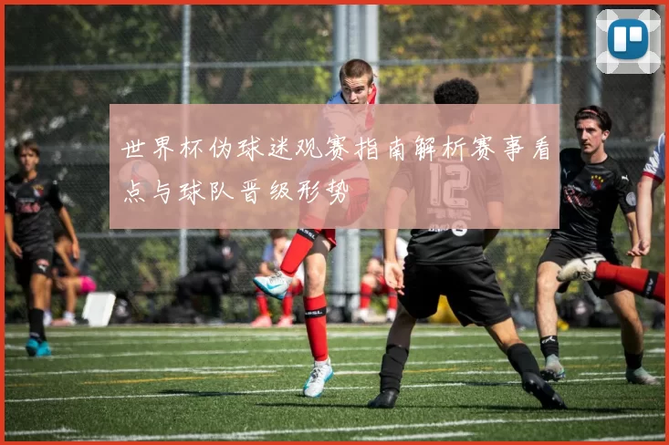 世界杯伪球迷观赛指南解析赛事看点与球队晋级形势