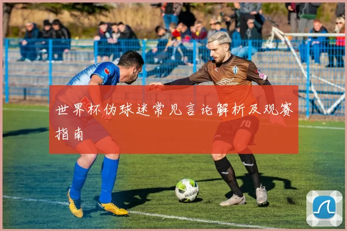 世界杯伪球迷常见言论解析及观赛指南