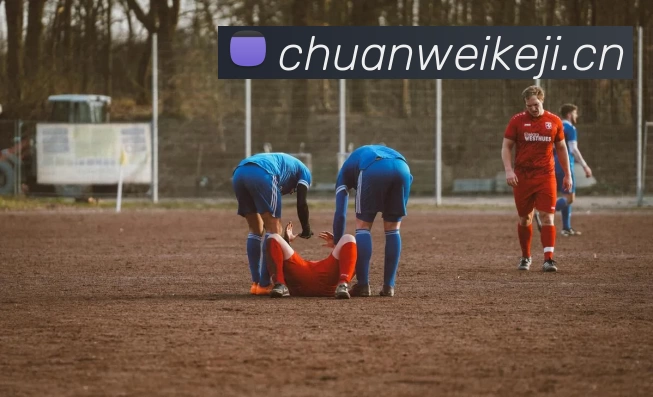 爱游戏ayx登录入口 - 爱游戏(中国)发展历程